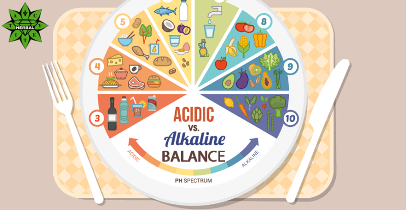 ACID-ALKALINE BALANCE-kangenwater.tech